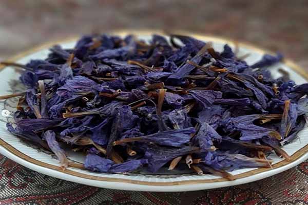 خواص درمانی گل گاو زبان