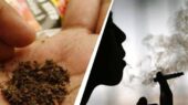 چرا مصرف دخانیات قدرت باروری را کاهش می‌دهد ؟