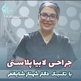 لابیاپلاستی بدون بخیه