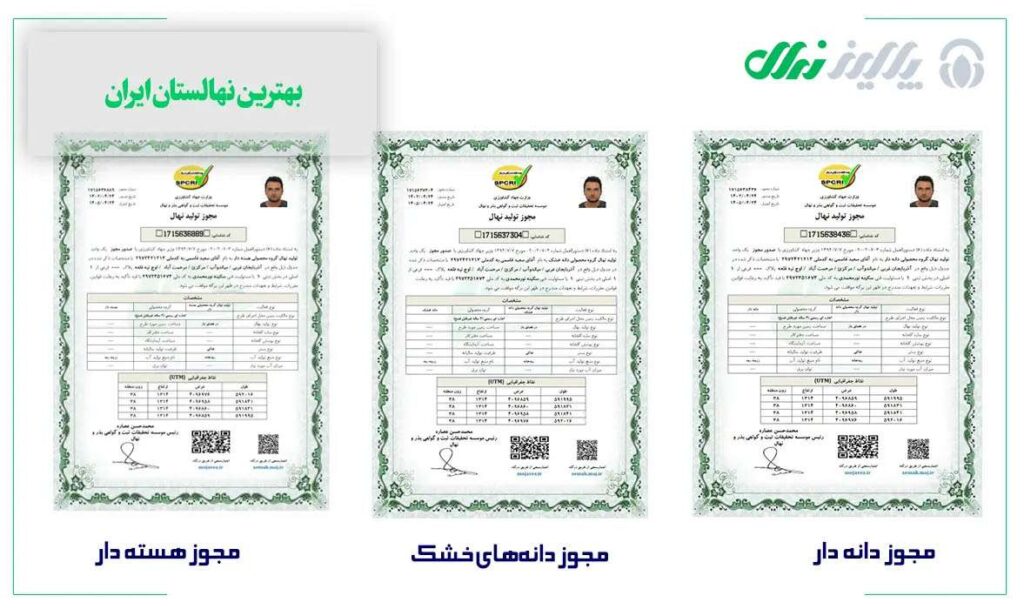 معتبرترین سایت در زمینه خرید انواع نهال بادام