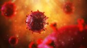 بیمار آلمانی هفتمین فردی که احتمالاً از HIV درمان شده است