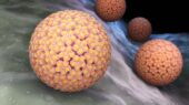 انتقال ویروس HPV از طریق لیزر