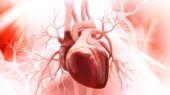 ارتباط دیابت نوع ۲ و بیماری کلیوی با افزایش خطر مشکلات قلبی در سنین پایین