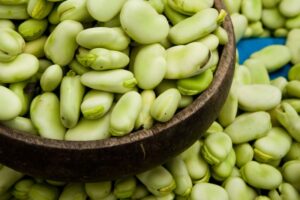 بیماری فاویسم چیست؟ علل، علائم و درمان