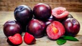 آلو سیاه: خواص شگفت‌ انگیز این میوه تابستانی