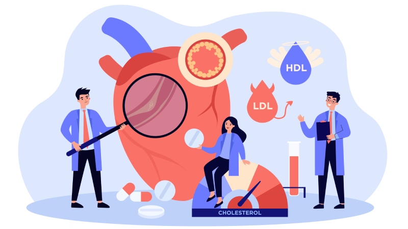 راهکارهای مؤثر برای کاهش طبیعی کلسترول بد (LDL) و حفظ سلامت قلب