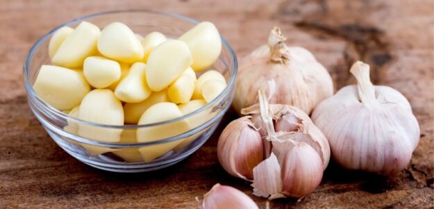 سلاح پنهان برای سلامتی؛ آنتی بیوتیک طبیعی به نام سیر