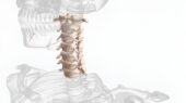 قاتلان خاموش مهره‌ های گردن و راهکارهای پیشگیری از آسیب‌ های ستون فقرات