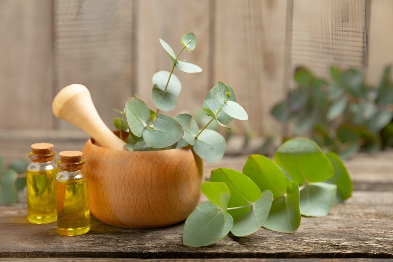 راز آبرسانی و تسکین طبیعی پوست با روغن اکالیپتوس