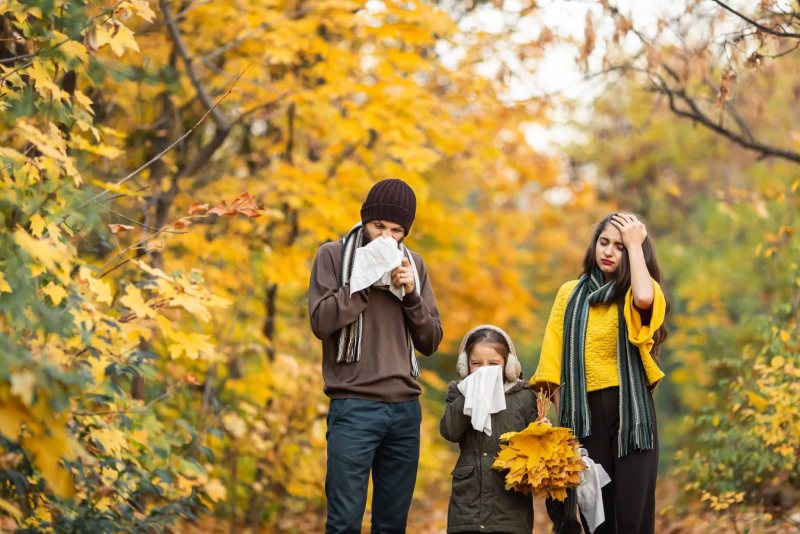 مدیریت آلرژی پاییزی؛ راهکارهای عملی برای کاهش علائم بدون دارو