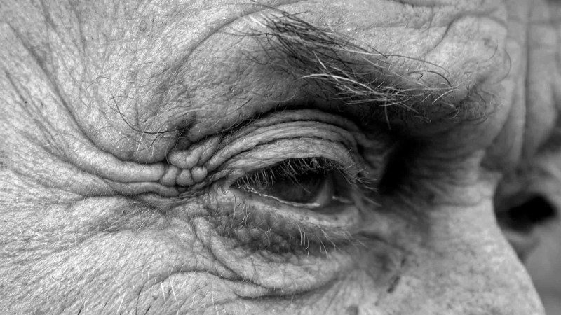 معکوس‌ کردن پیری چشم با روش جدید دانشمندان آمریکایی