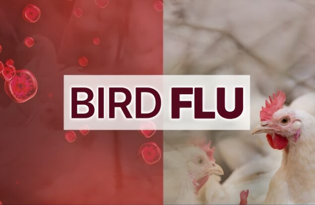 خطر بالقوه آنفلوانزای پرندگان و هشدار درباره احتمال شکل گیری همه گیری جدید