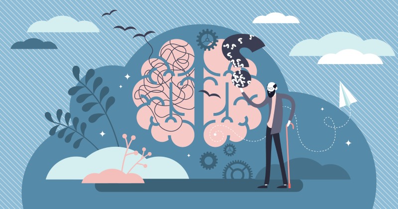 راز جوان ماندن مغز در سالمندی؛ تأثیر سه هزار قدم پیاده‌ روی روزانه بر آلزایمر