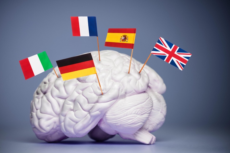 چطور یادگیری زبان جدید می‌ تواند از پیری مغز جلوگیری کند؟