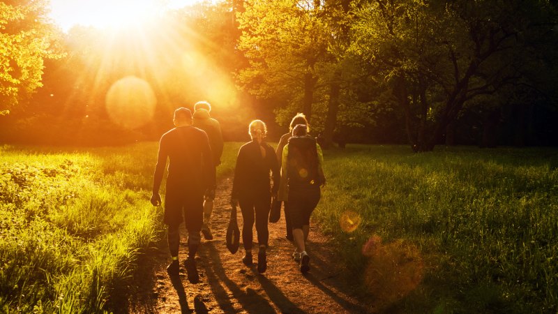 چگونه می توان دوباره به طبیعت نزدیک شد؟