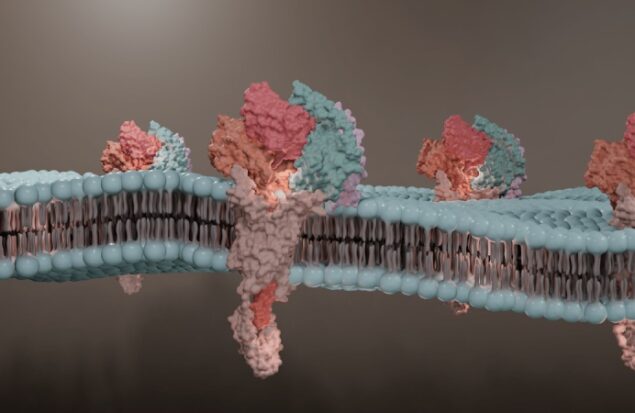 کشف بزرگ دانشمندان ژاپنی: مهار یک پروتئین می‌ تواند روند پیری سلول‌ ها را معکوس کند