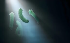 کشف سازوکار جدید مقاومت باکتری‌ ها در برابر آنتی‌ بیوتیک‌ ها