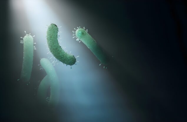 کشف سازوکار جدید مقاومت باکتری‌ ها در برابر آنتی‌ بیوتیک‌ ها