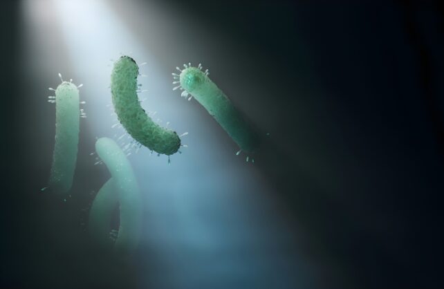 کشف سازوکار جدید مقاومت باکتری‌ ها در برابر آنتی‌ بیوتیک‌ ها