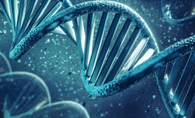 کشف نقش ژن GRIN2A در بروز بیماری های روانی