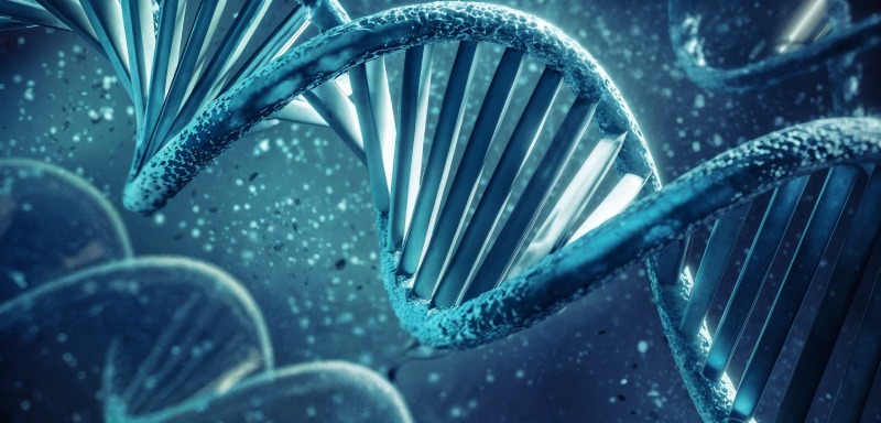 کشف نقش ژن GRIN2A در بروز بیماری های روانی