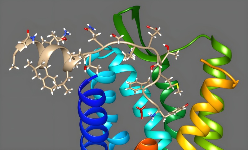 اندورفین؛ داروی طبیعی بدن برای کاهش درد عاطفی