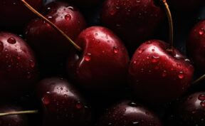فواید شگفت انگیز گیلاس سیاه برای سلامت بدن