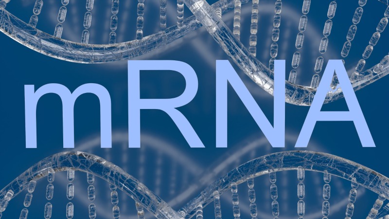 آیا واکسن های mRNA می توانند DNA انسان را تغییر دهند؟