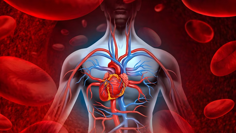 چگونه از اختلال گردش خون پیشگیری کنیم؟